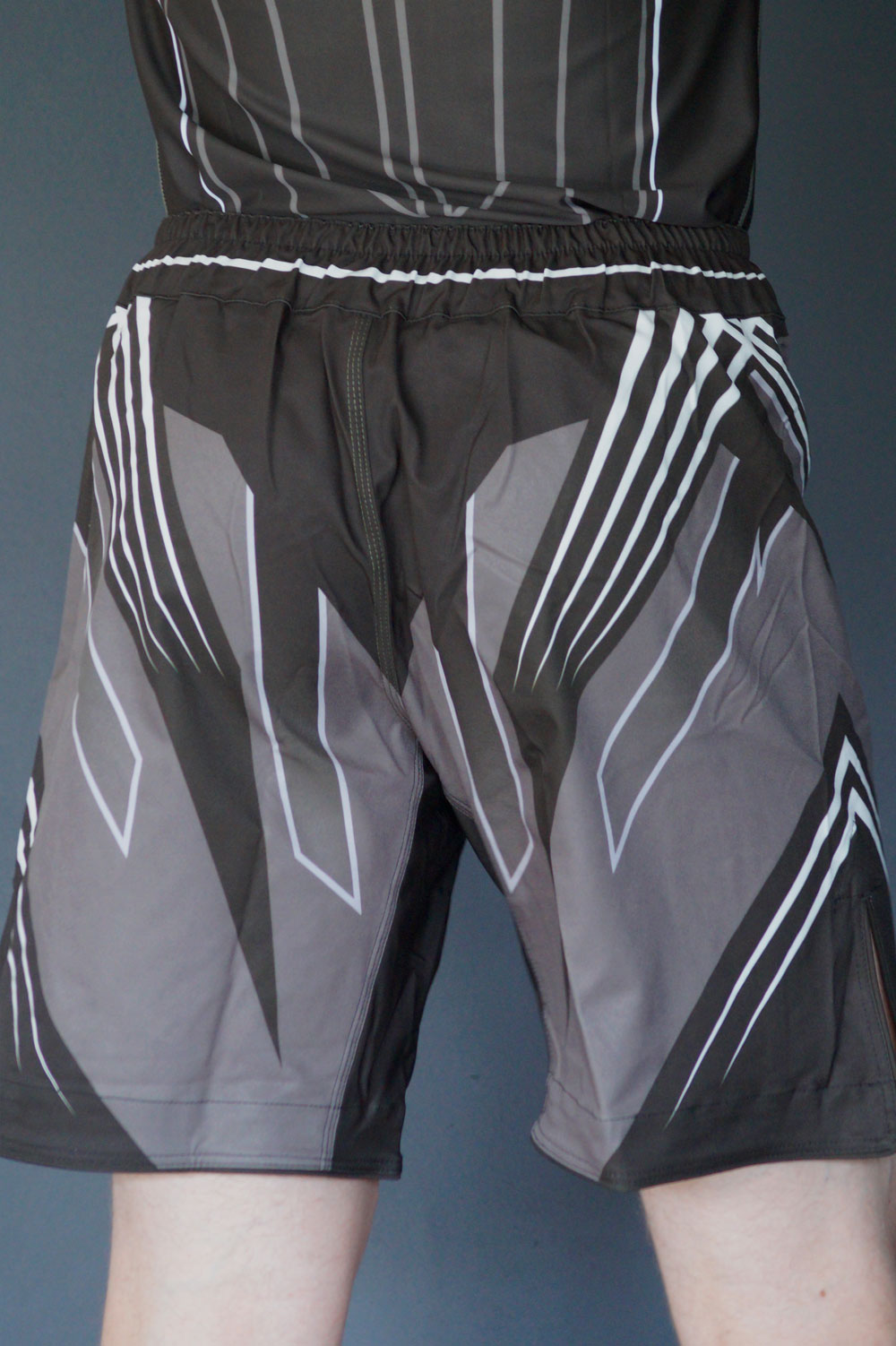 APEX MMA Shorts