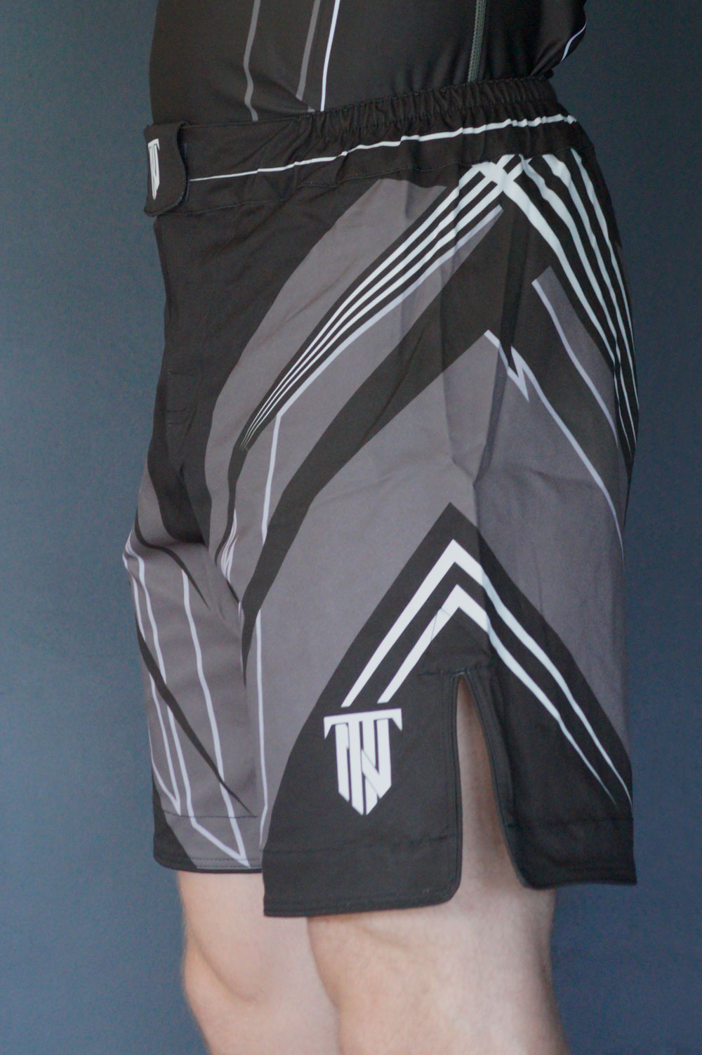 APEX MMA Shorts