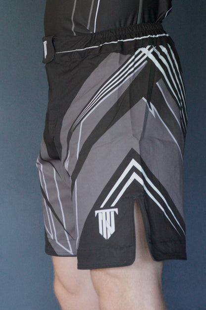 APEX MMA Shorts